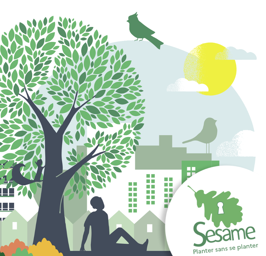 Sésame 13 